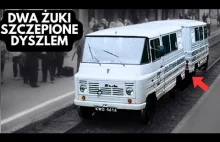 Dwa żuki szczepione dyszlem i inne wynalazki