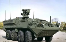 Bułgaria: Rząd zaaprobował zakup bojowych wozów piechoty Stryker