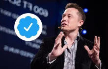 Elon Musk dusigrosz - płać za Twittera | Magazyn HIRO