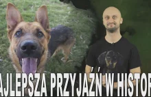 Najlepsza przyjaźń w historii - historia psów. Historia Bez Cenzury - YouTube