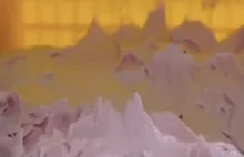 Papka, czy zgadniesz co z niej powstanie?