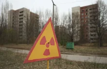 Niespodziewane odkrycie w Czarnobylu.