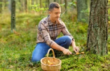 Słone kary dla grzybiarzy. Gdzie nie wolno zbierać grzybów? Jakie gatunki są chr