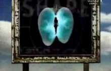 Po Tamtej Stronie Intro