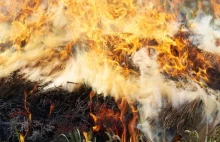 Wyrzucony niedopałek papierosa spalił stodołę. 13-latek poniesie konsekwencje