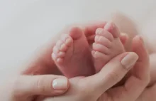 Warszawska Uczelnia Medyczna liderem w nauczaniu położnictwa