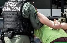 Agresywni pasażerowie. Agresja, a-----l i nieplanowane międzylądowanie