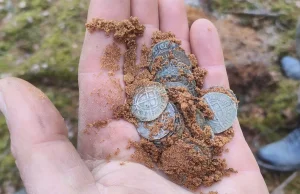 Odkryli skarb średniowiecznych krzyżackich srebrnych monet!