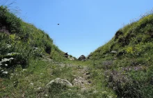 Zoofilia: wstydliwy problem przedwojennej Polski