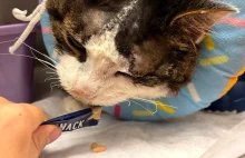 aktualizacja dotycząca Pandka