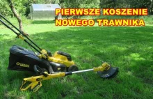 Pierwsze koszenie nowego trawnika Kosiarką i podkaszarką akumulatorową Kaltmann