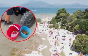 Włochy: Rekordowa grzywna za sprzedaż kokosów na plaży - Polsat News