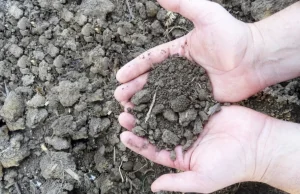 Rolnicy biją na alarm: w Polsce zaczyna brakować wody. Wysychają jeziora i rzeki