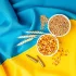 Ukraina chce trzymać krótko PL ws. handlu zbożem "Musimy pokazać całemu światu"