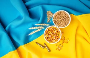 Ukraina chce trzymać krótko PL ws. handlu zbożem "Musimy pokazać całemu światu"