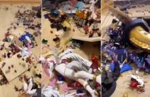 $35,000 Anime Collection Demolished by Nine-Year-Old Child
