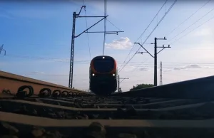 INOWROCŁAW | Jak żaby widzą pociąg? Zobaczcie to koniecznie! - ki24.info