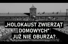 HOLOKAUST ZWIERZĄT - termin kontrowersyjny, czy nie?