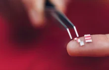 Naukowcy opracowali nowe LSD. Koniec z halucynacjami