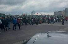 Strajk "TYSIĄCA traktorów". Rolnicy: "My nie chcemy dopłat!"