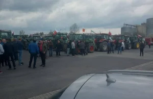 Strajk "TYSIĄCA traktorów". Rolnicy: "My nie chcemy dopłat!"