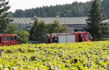 Pożar fermy pod Choszcznem