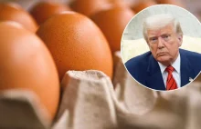 Grozili Duńczykom, teraz proszą ich o pomoc. Mają problem z jajami