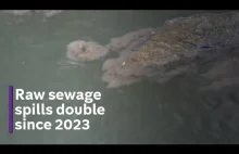 Śmierdzący problem UK rząd zwiększył ilość nieoczyszczonych ścieków
