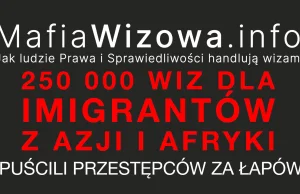 Mafia Wizowa Prawa i Sprawiedliwości podsumowana w jednym miejscu