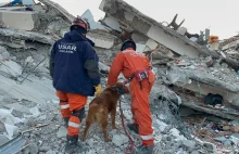 Trzęsienie ziemi. Polscy strażacy w Turcji wydobyli 12 osobę