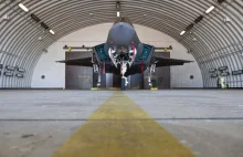 Rząd chciał przemalować amerykańskie F-35?
