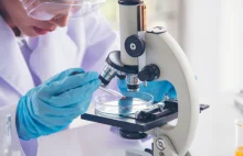 Alarm w Niemczech: po 30 latach znów wykryto dzikiego wirusa polio