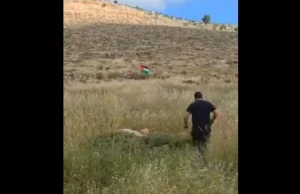 Obywatel Izraela usuwa palestyńską flagę w rejonie Binyamin... #instantkarma