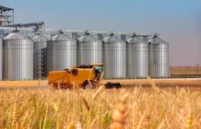 Nieefektywne rolnictwo. 10 proc. gospodarstw odpowiada za połowę produkcji w Pol