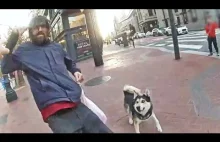 Pies i psiarz atakują przechodniów i policjantów w San Francisco.