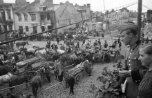 Ile jeszcze tajemnic skrywają niemieckie strychy? Te filmy to dowody zbrodni