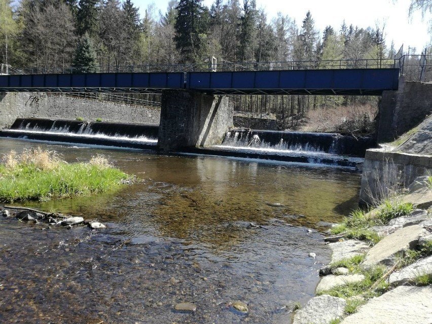 W jedynej górskiej rzece w regionie padły wszystkie ryby
