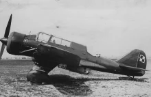 "Karasie" nad Stalingradem. Nieznana historia polskich samolotów