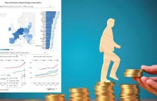 Drastyczne różnice w płacy minimalnej w UE. Na którym miejscu jest Polska? MAPA