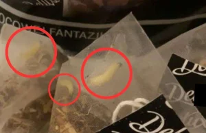 Pełzający goście w saszetkach herbatki z Lidla!