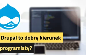 Czy Drupal to dobry kierunek dla programisty?