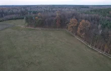 Gigantyczny płot w środku lasu. Ludzie nie chcą o tym rozmawiać pod nazwiskiem.