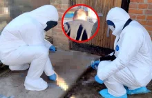 Pobita żona kilka godzin leżała przed domem. Nocą wciągnął ją do środka