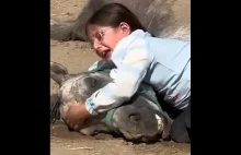 Ośmiolatka wpadła w rozpacz po śmierci ukochanego konia. Reakcja władcy Dubaju