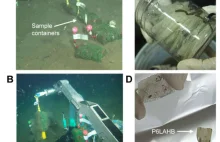 Japończycy odkryli plastik, który rozpuszcza się w oceanie. Przełomowe wyniki