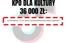 Tak rząd finansuje kulturę z z KPO - 36 000 zł na KOLORY MĘSKOŚCI - TIK TOK...