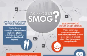 Jak pokonać smog i jeszcze na tym zarobić? Wzory to Pekin, Kopenhaga, Londyn...