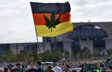 Niemcy od kwietnia zalegalizują marihuanę, jest porozumienie w rządzie