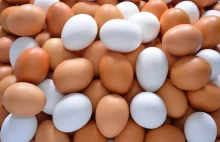 Białe jaja wyprą brązowe