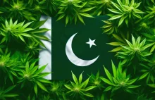 Marihuana w Pakistanie: Kraj wprowadza nowe regulacje!